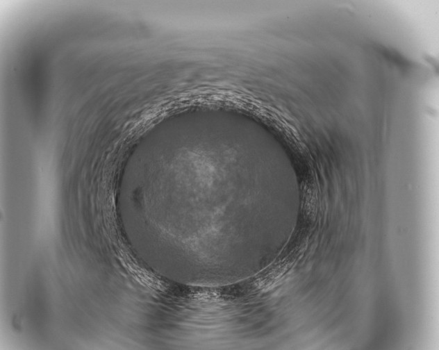 X0000095111489200712141140