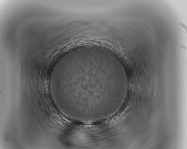 X0000095111490200712141140