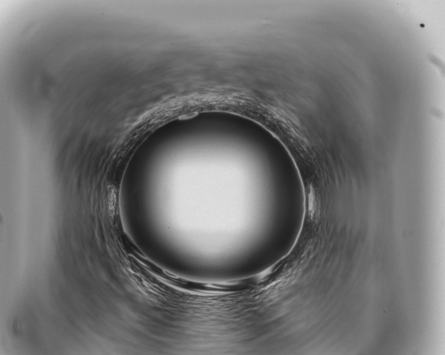 X0000095111492200712141140