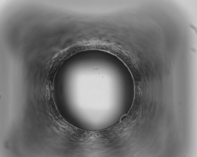 X0000095111493200712141140