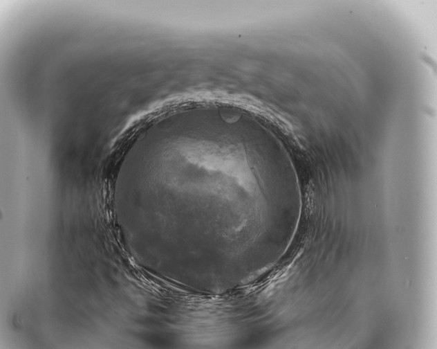 X0000095111494200712141140