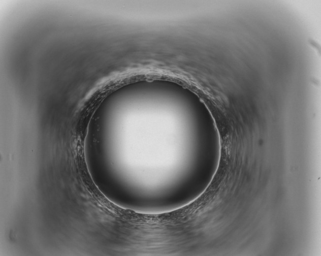 X0000095111495200712141140