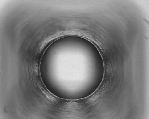 X0000095111499200712141140