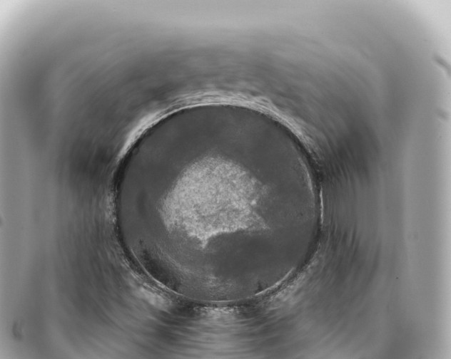 X0000095111501200712141140