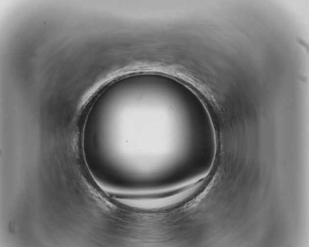 X0000095111502200712141140