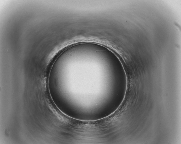 X0000095111503200712141140