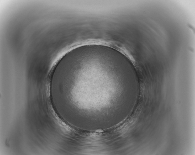 X0000095111504200712141140