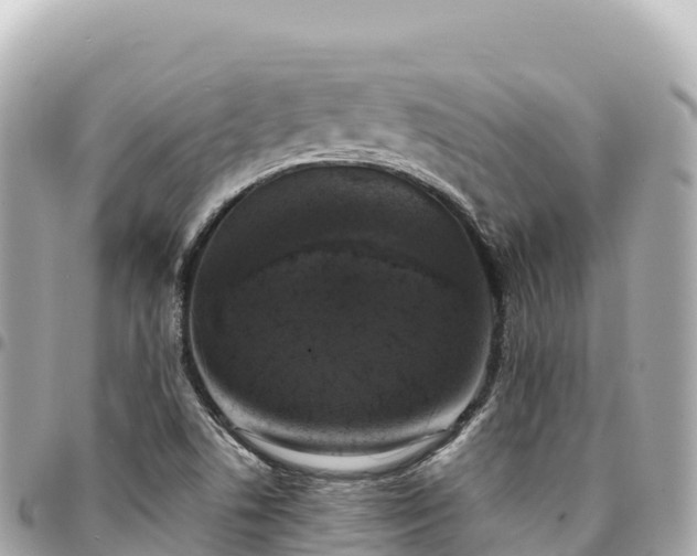 X0000095111506200712141140