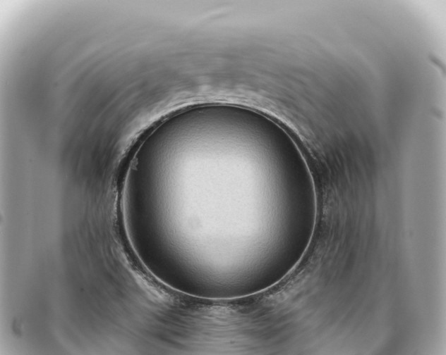 X0000095111507200712141140