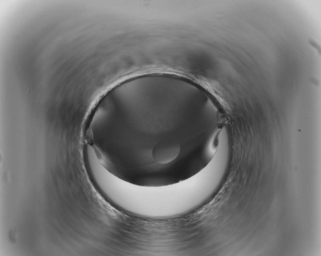 X0000095111508200712141140