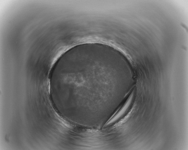 X0000095111509200712141140