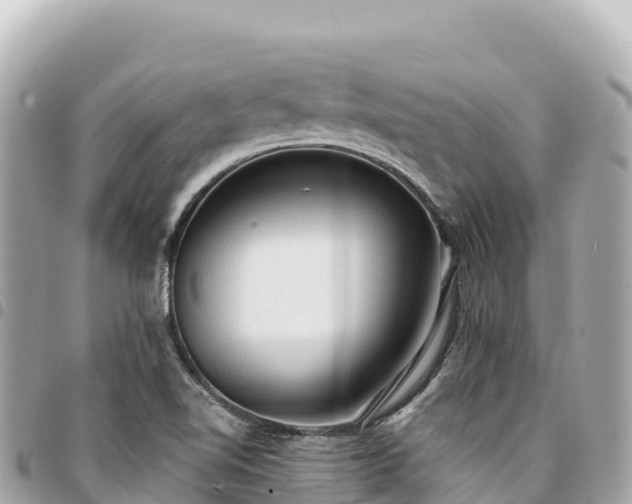 X0000095111510200712141140