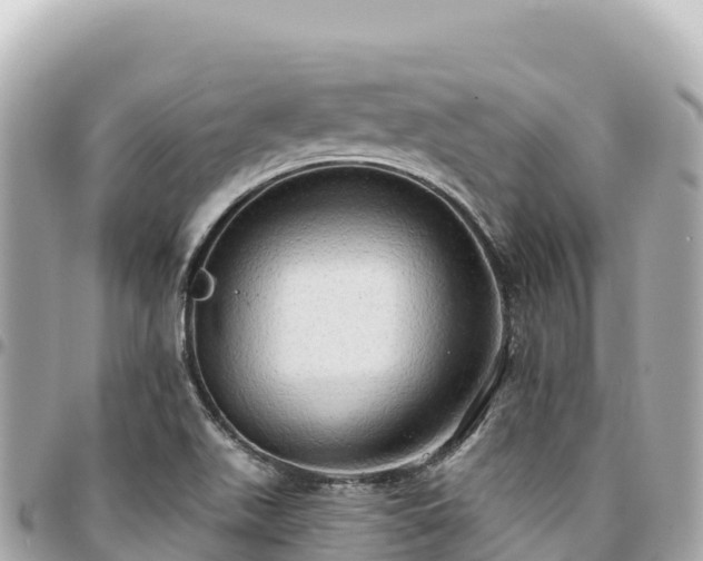 X0000095111511200712141140