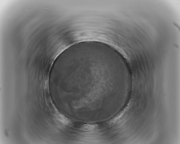 X0000095111513200712141140