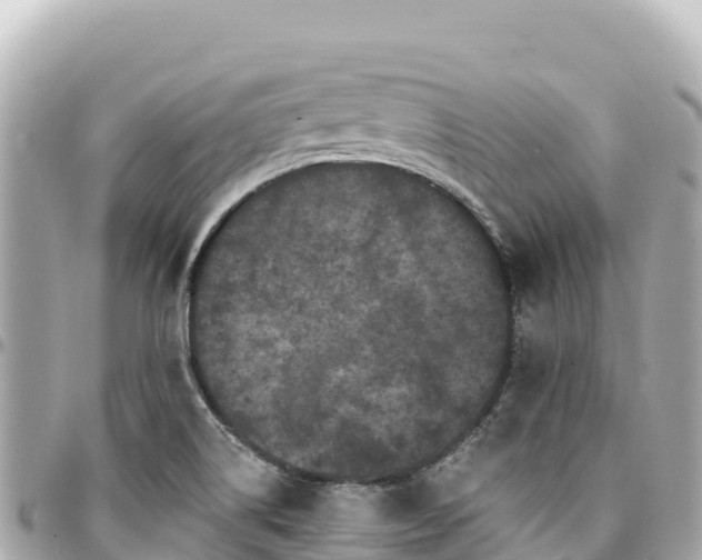 X0000095111514200712141140