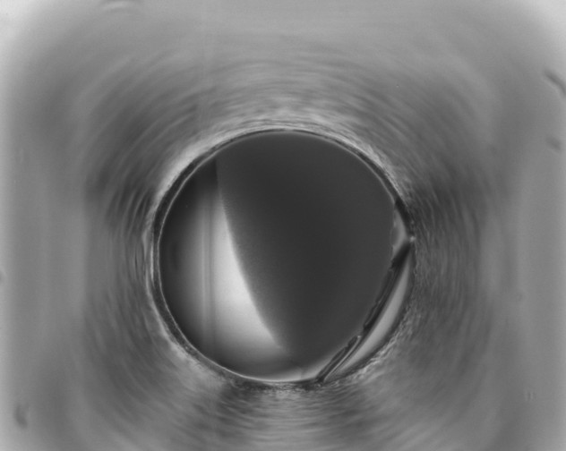 X0000095111515200712141140