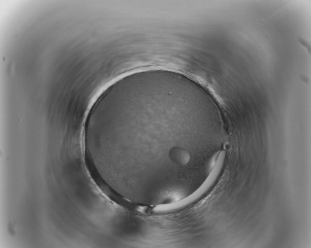 X0000095111516200712141140