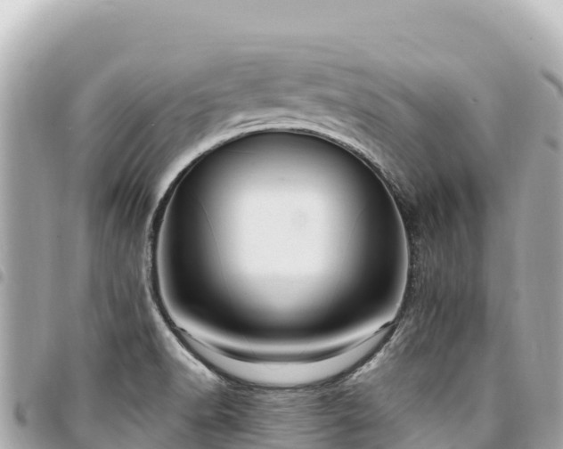 X0000095111518200712141140