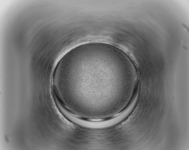 X0000095111520200712141140