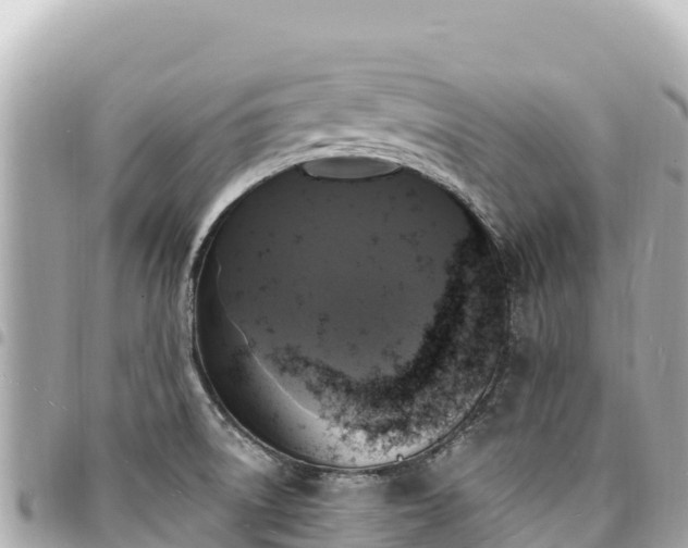 X0000095111522200712141140