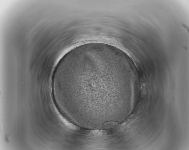 X0000095111523200712141140