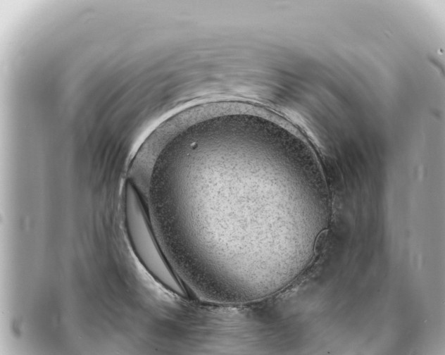 X0000095111524200712141140