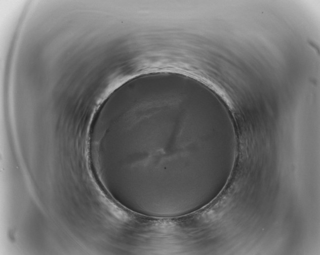 X0000095111525200712141140