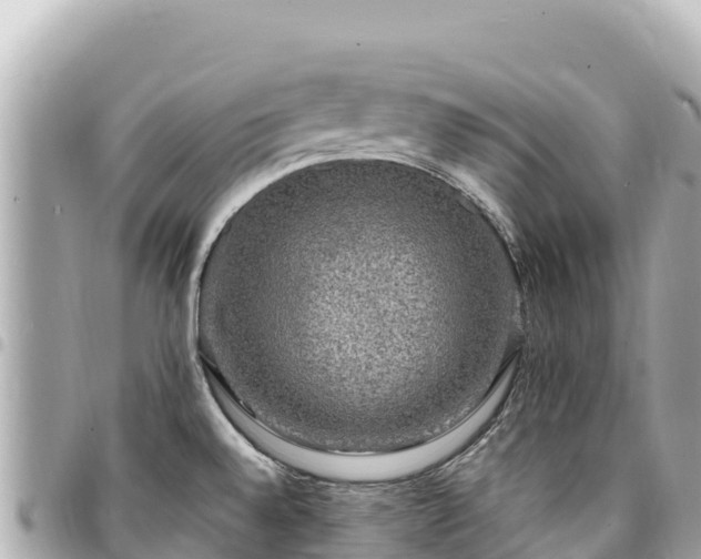 X0000095111528200712141140