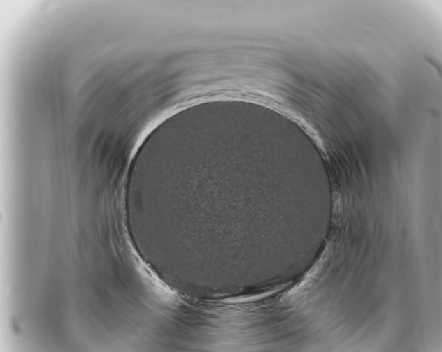 X0000095111530200712141140