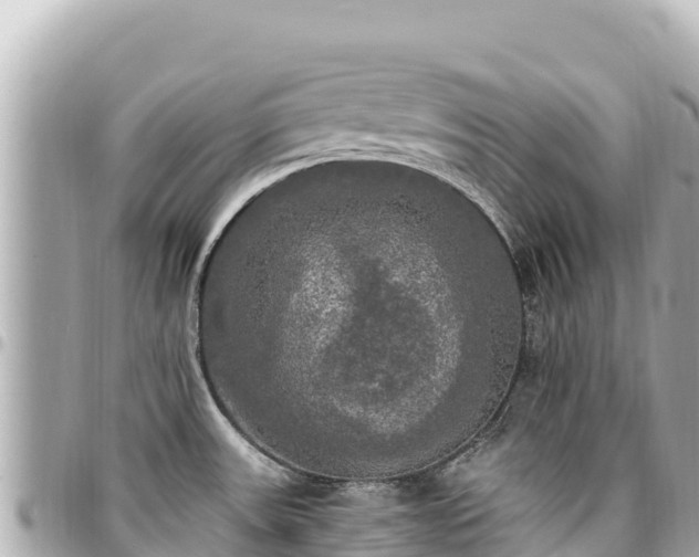 X0000095111531200712141140