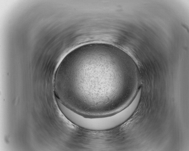 X0000095111532200712141140