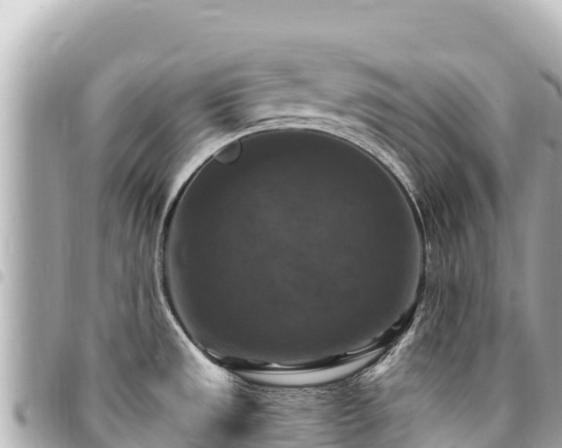 X0000095111533200712141140