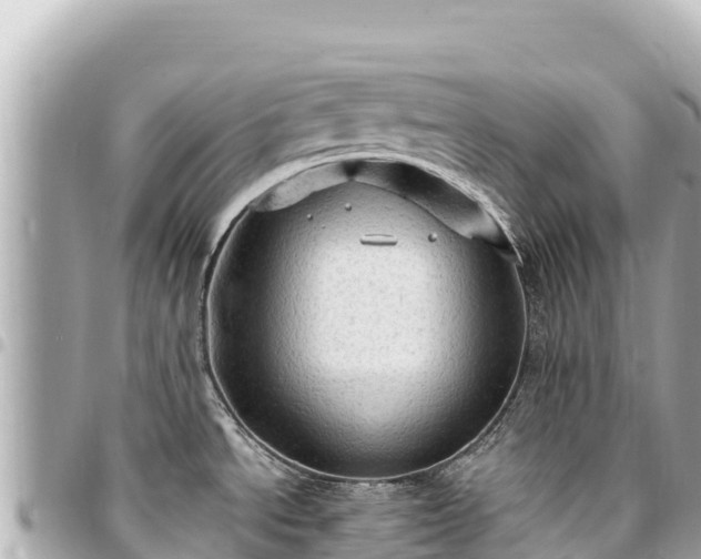 X0000095111534200712141140