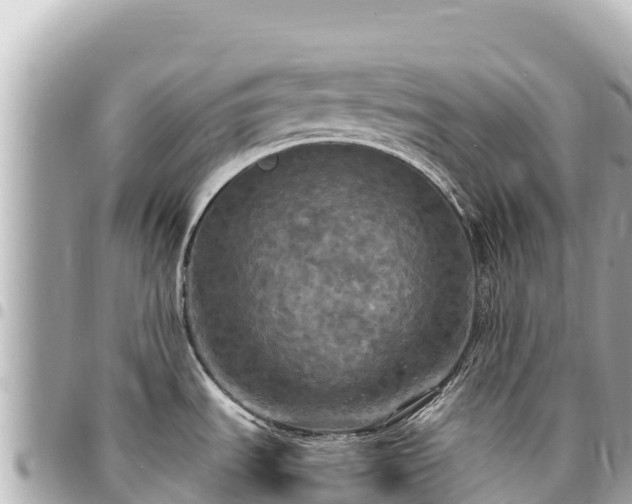 X0000095111535200712141140