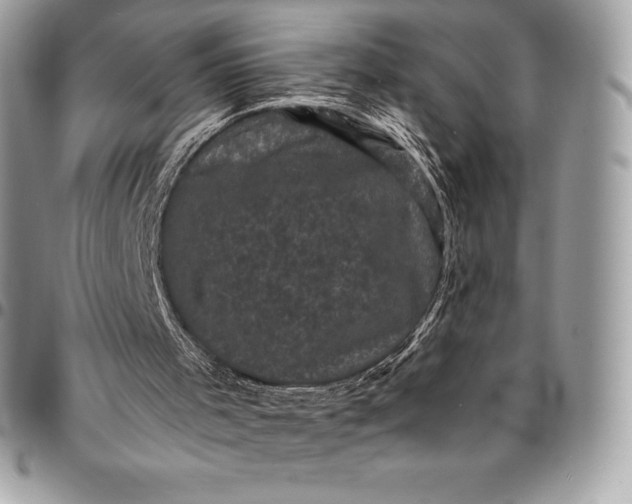 X0000095110001200712211331