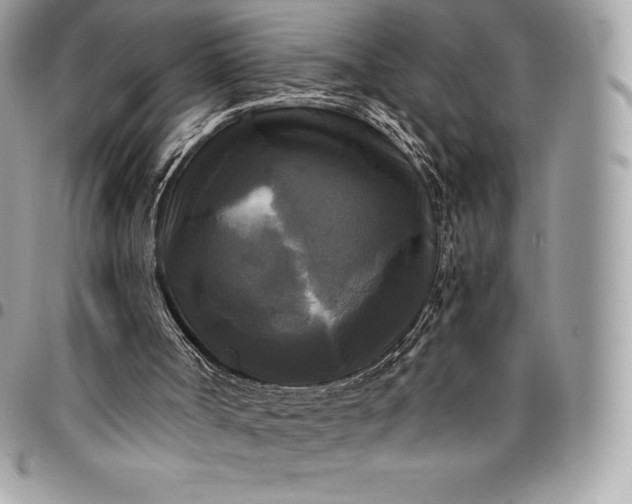 X0000095110002200712211331