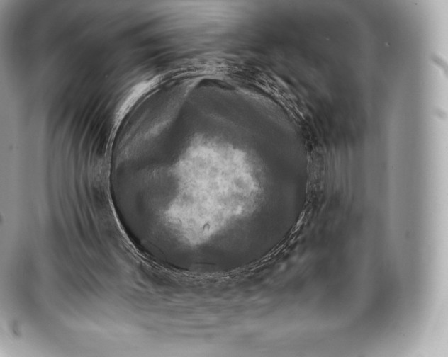 X0000095110003200712211331