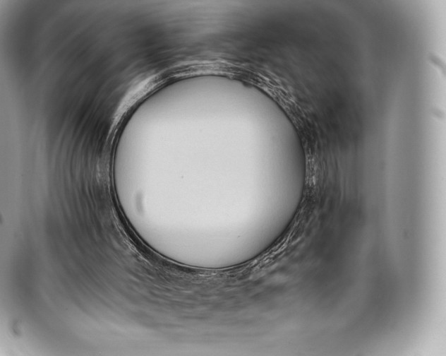 X0000095110004200712211331