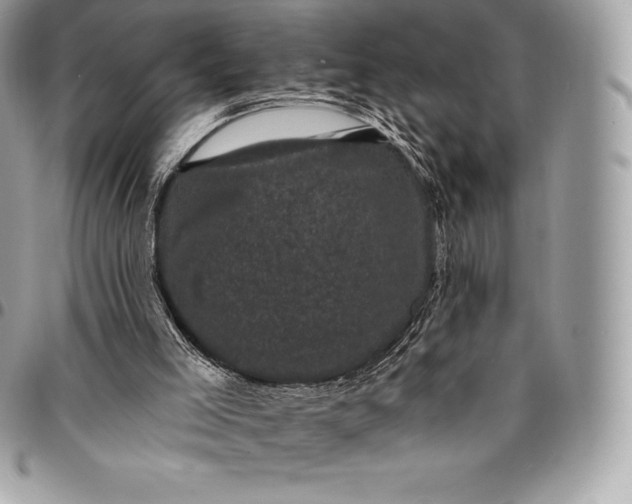 X0000095110005200712211331