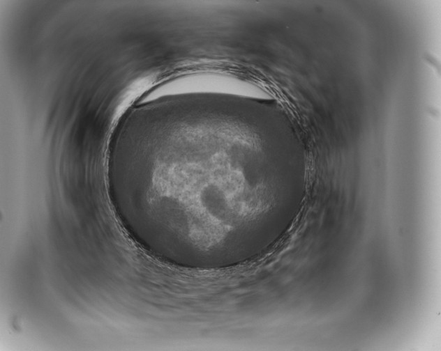 X0000095110006200712211331