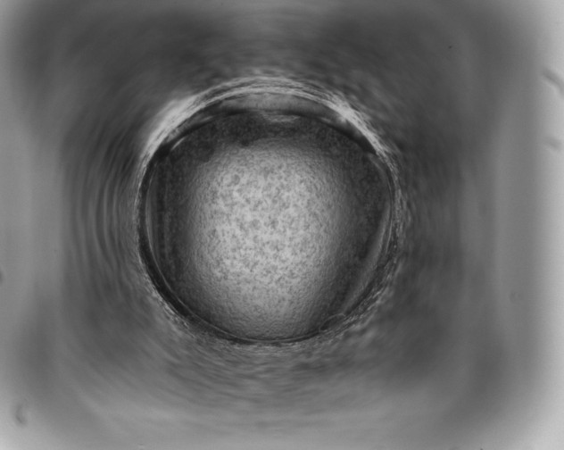 X0000095110007200712211331