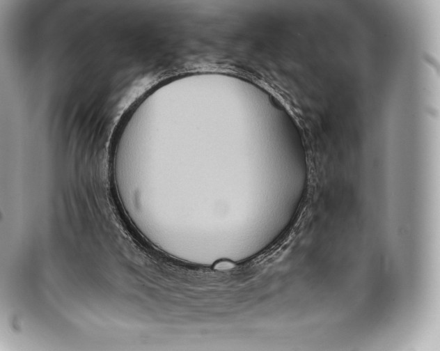 X0000095110008200712211331