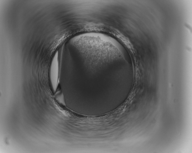 X0000095110009200712211331