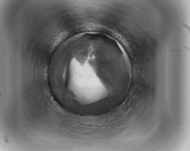 X0000095110010200712211331