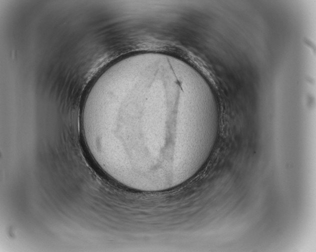 X0000095110011200712211331