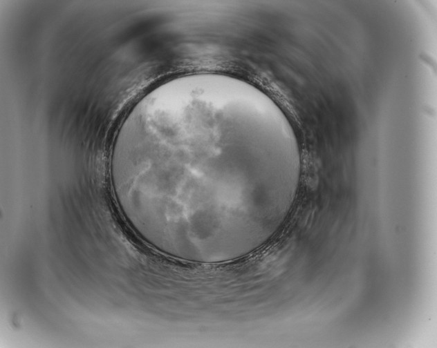 X0000095110012200712211331