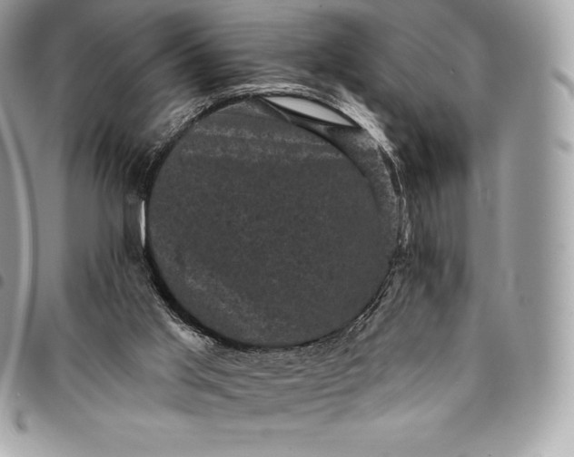 X0000095110013200712211331