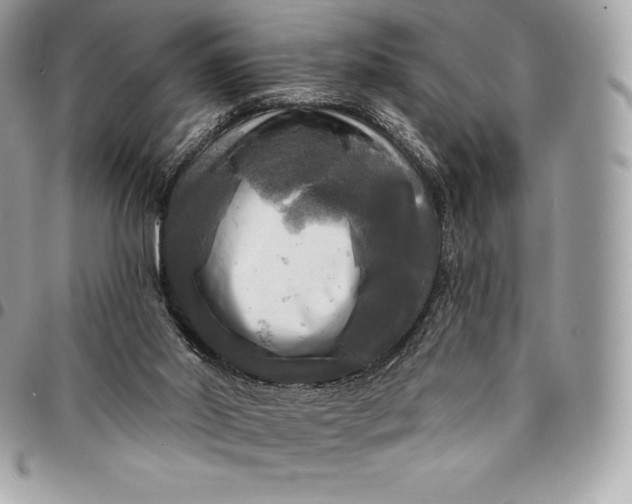 X0000095110014200712211331