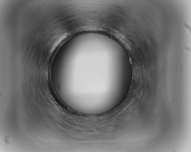 X0000095110015200712211331