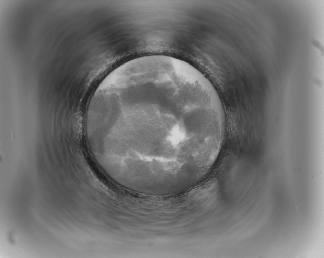 X0000095110016200712211331